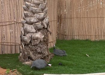مزرعة بمناظر خلابة وجلسة خارجية 