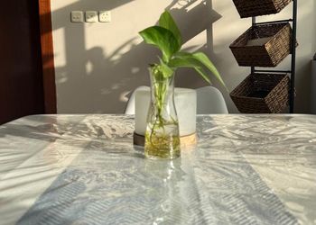 شاليه بمسطح اخضر ومسبح 