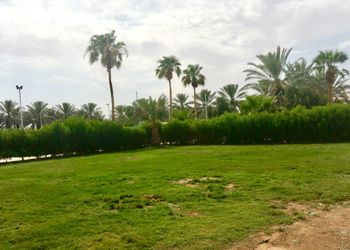 مزرعه بمجلسين وملعب كرة قدم و مطبخ