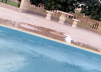 مزرعة بألعاب أطفال ومسطح اخضر