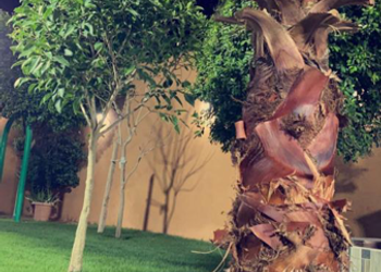 شاليه بألعاب مائية و ركن شواء