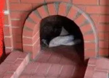 شاليه مميز لقضاء وقت مميز 