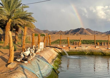 استراحه بمسطحات خضراء وغرف نوم
