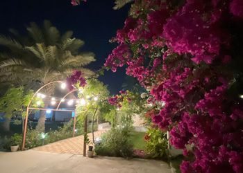 استراحة بركن شواء ومسبح