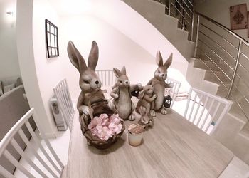شقه  بصالة انيقة واربع غرف نوم
