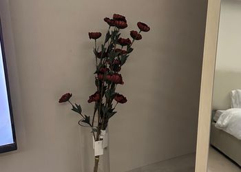 استديو هادئ بدخول ذاتي 
