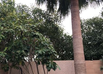 شالية بمجلس مطل على المسبح 