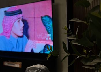شقة بغرفة نوم وصالة 