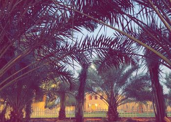 مزرعة بفيلا تراثية مودرن و إسطبل