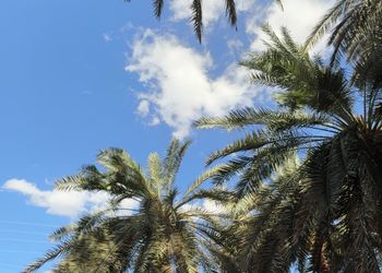 استراحة بصاله أنيقة وجلسة خارجية