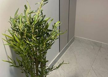 شقة بغرفة معيشة وغرفة نوم 