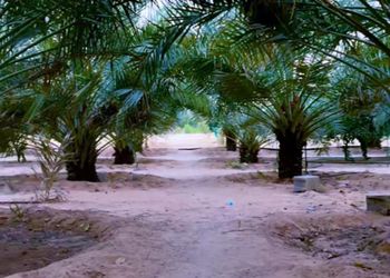 مزرعة بجلسة خارجية وبأجواء ريفية