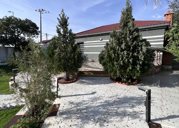 شاليه بمسطح اخضر وجلسة 