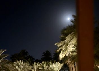 مزرعة بفيلا تراثية مودرن و إسطبل