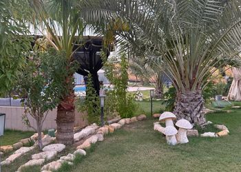 استراحة بمسطح اخضر ومجالس