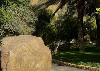 مزرعة بجلسه خارجيه مطله عالنخيل 