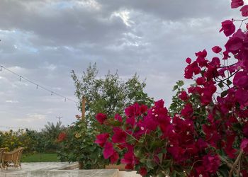 مزرعة بجلسة ارضية والعاب اطفال