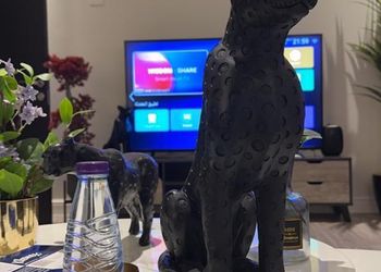 استديو أنيق بدخول ذاتي 