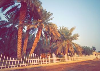 مزرعة بفيلا تراثية مودرن و إسطبل