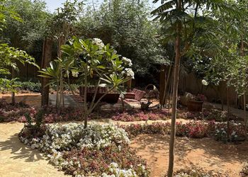 استراحة بمسطح اخضر ومجالس