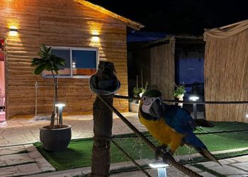 استراحة بمسطح اخضر وجلسة خارجية
