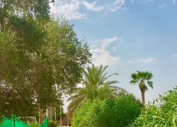 مزرعه بمجلسين وملعب كرة قدم و مطبخ