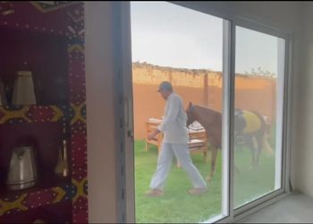 استراحة بمجلس شعبي وجلسة خارجية 