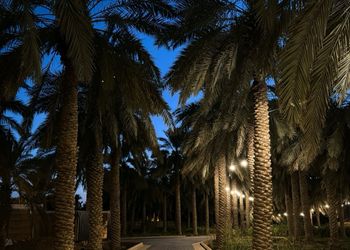 مزرعة 1 بجلسة مطلة على الجبل 