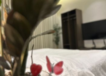استديو بسرير ماستر وأثاث مريح 