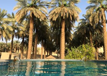 مزرعة بمسبح مطل على الحديقة