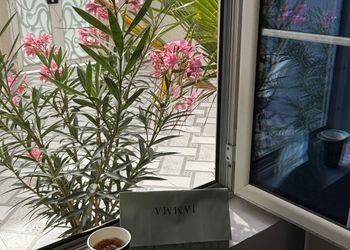 استديو بأثاث مريح وبسيط 