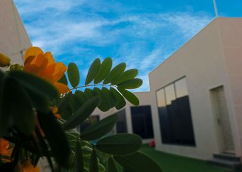 شاليه بصاله ومسبح خارجي 