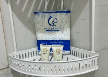شقة بغرفة نوم وصالة 