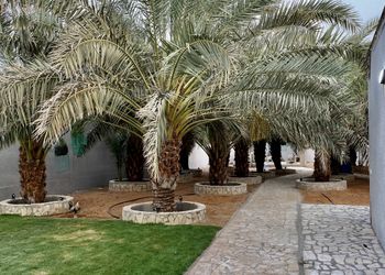 استراحة بمسطح اخضر