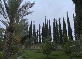 مزرعة بمسطحات خضراء وجلسة خارجية
