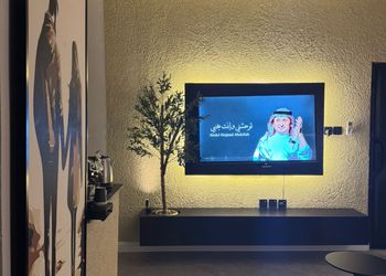 شقة بغرفة نوم وصالة 