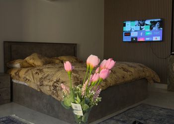 استديو بسرير ماستر وجلسة مريحة 