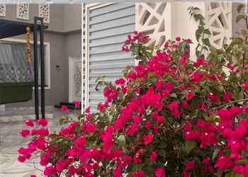 شاليه بألعاب أطفال