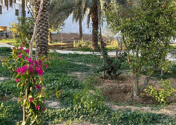 مزرعة بجلسة خارجية وأجواء ممتعة