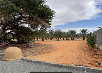 مزرعة بمسطحات خضراء وبيت شعر 
