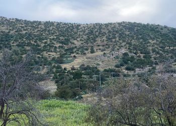 كرفان بجلسة خارجية وأجواء ممتعة