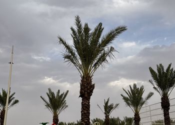 استراحة لقضاء اجواء عائلية مميزة