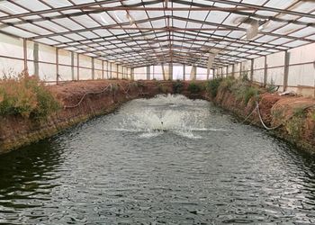 مزرعة بمسطح اخضر وغرفتين نوم