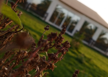 مزرعة بمجلس واسع ومسطح اخضر