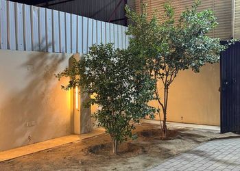 استراحة بمسطح اخضر ومجالس