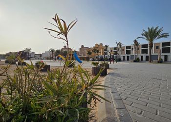 استديو هادئ بسرير ماستر 