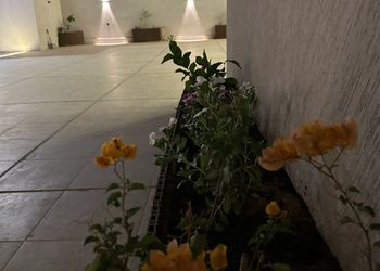 شاليه بصاله انيقة وجلسة خارجية