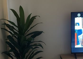 استديو بسرير ماستر وأثاث مريح 