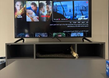 شقة بغرفة نوم وصالة 