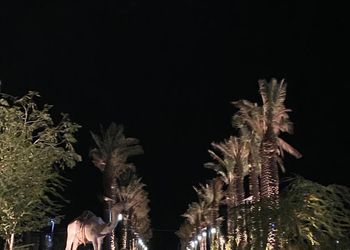 مزرعة لقضاء اجواء عائلية مميزة 